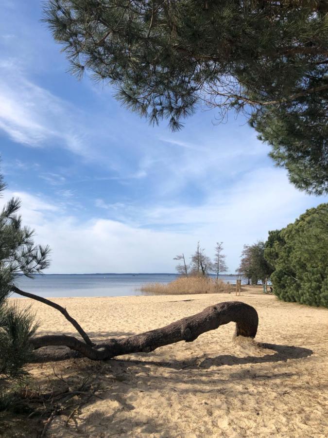 Gite Au Coeur Des Landes Lue Dış mekan fotoğraf