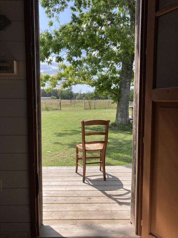 Gite Au Coeur Des Landes Lue Dış mekan fotoğraf